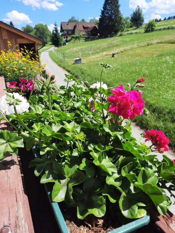 Naturidyll Brunner Kostendorf Exterior foto