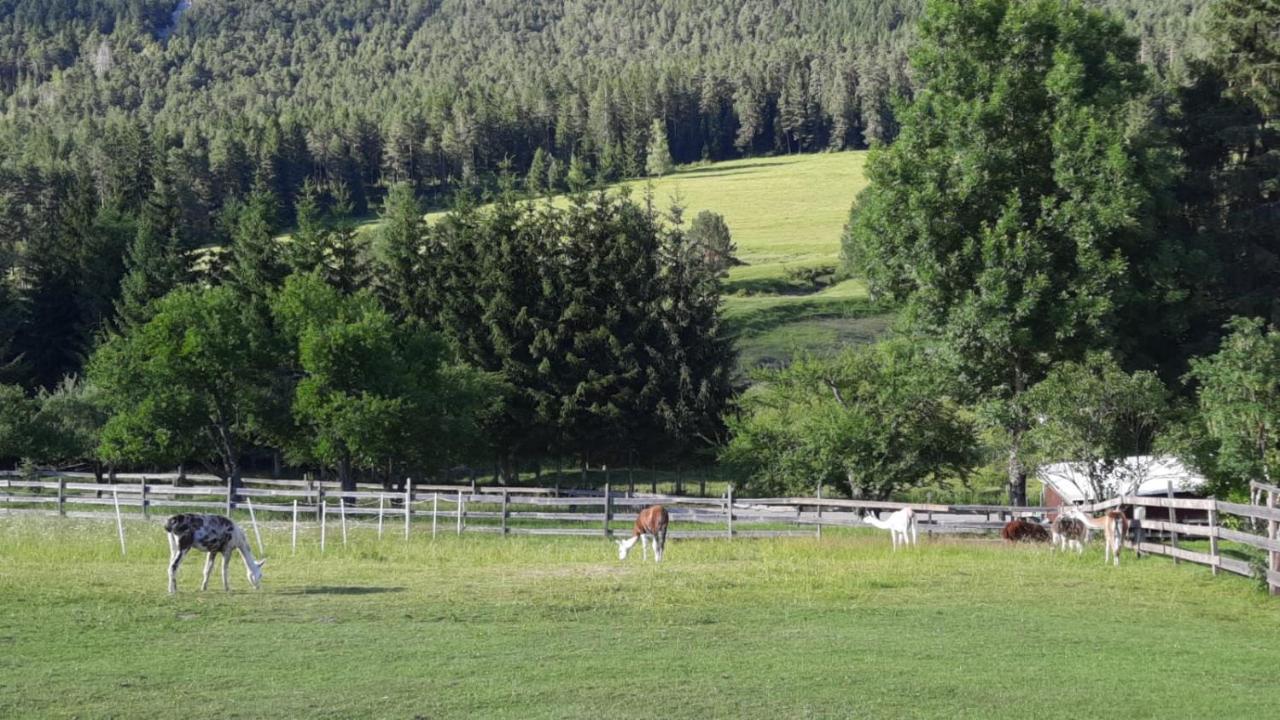 Naturidyll Brunner Kostendorf Exterior foto
